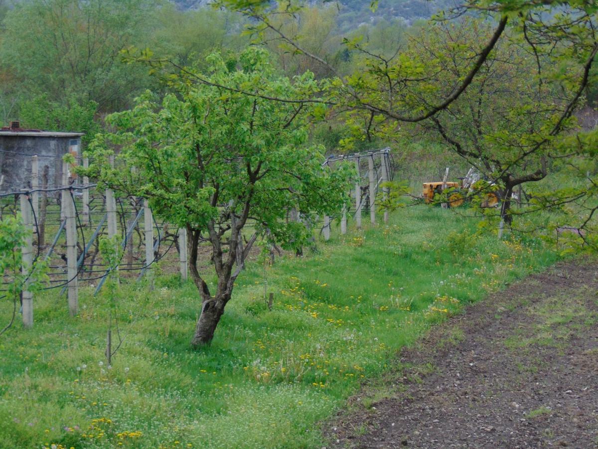 Studio And Winery Kalimut Virpazar Eksteriør bilde
